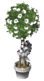 Sculpture Wedding Topiary