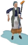 Janitor
