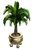Large Potted Palm